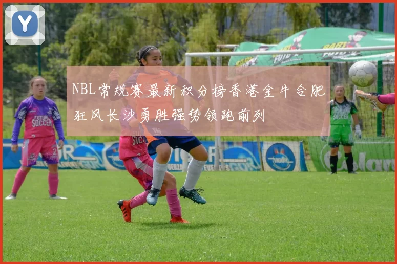 NBL常规赛最新积分榜香港金牛合肥狂风长沙勇胜强势领跑前列